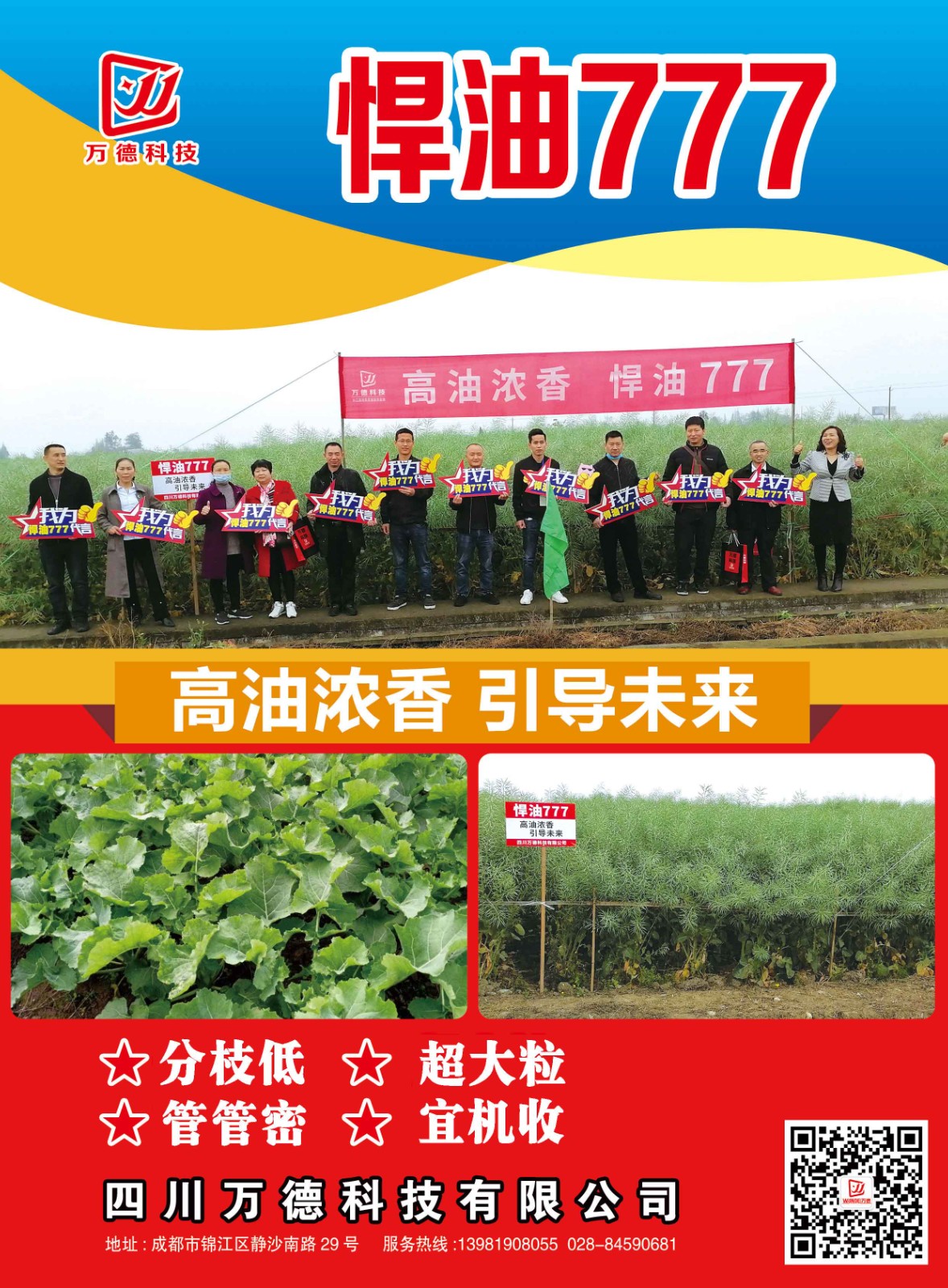 悍油777——分枝低.jpg