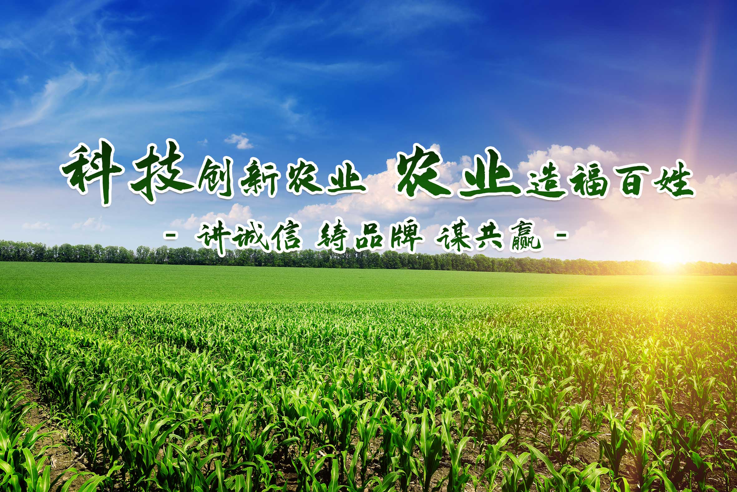 通栏图片